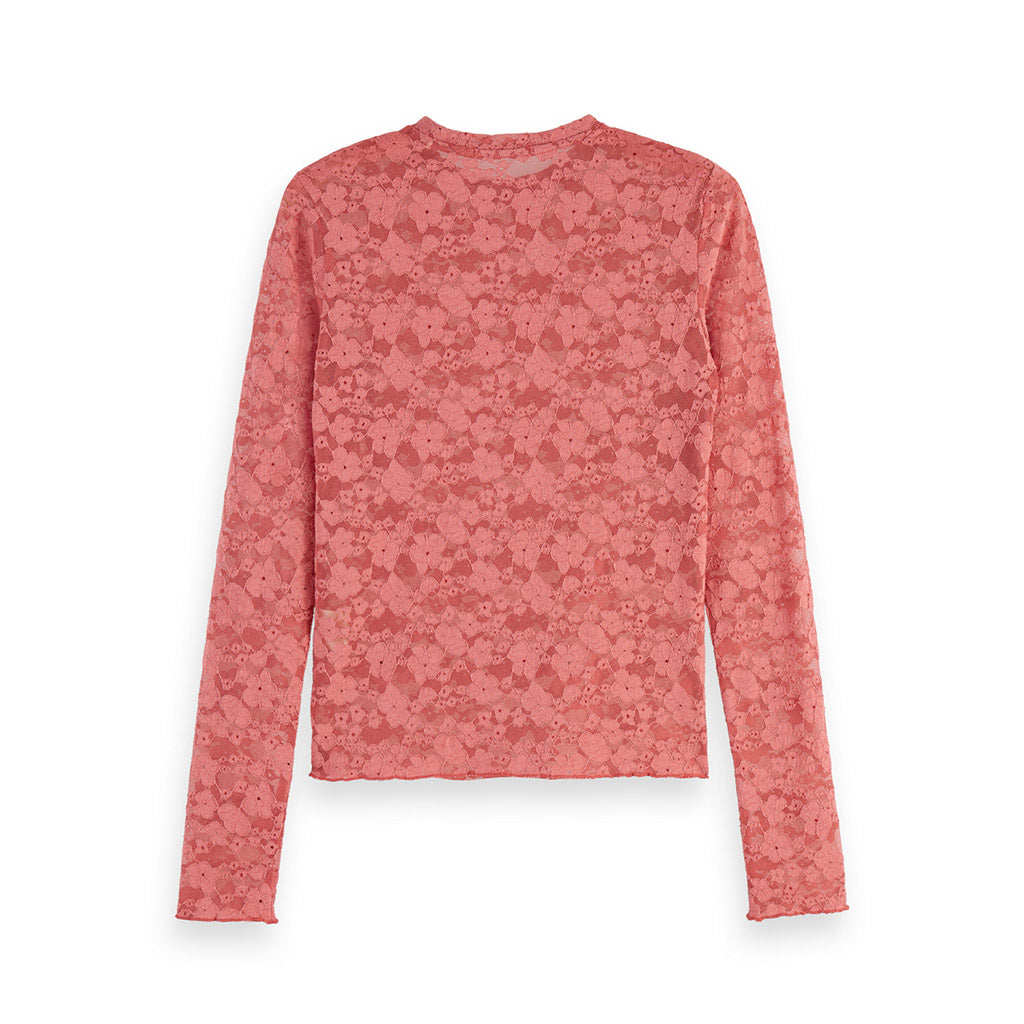 Floral lace top Dusty Red - Scotch & Soda - Collector Store