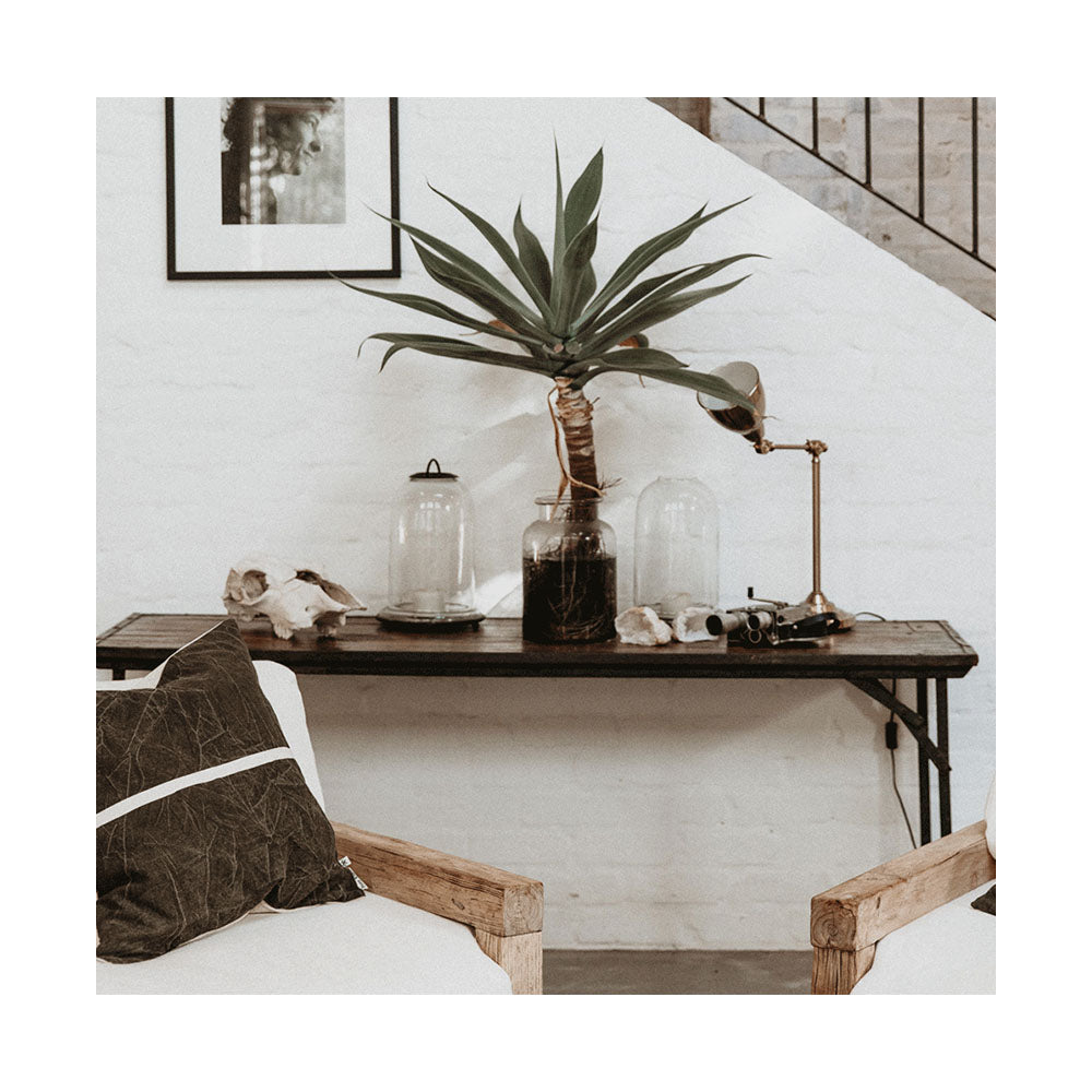 Wanderful Cushion Cover Dark Shadow 60 x 60 - Collector Store Sydney