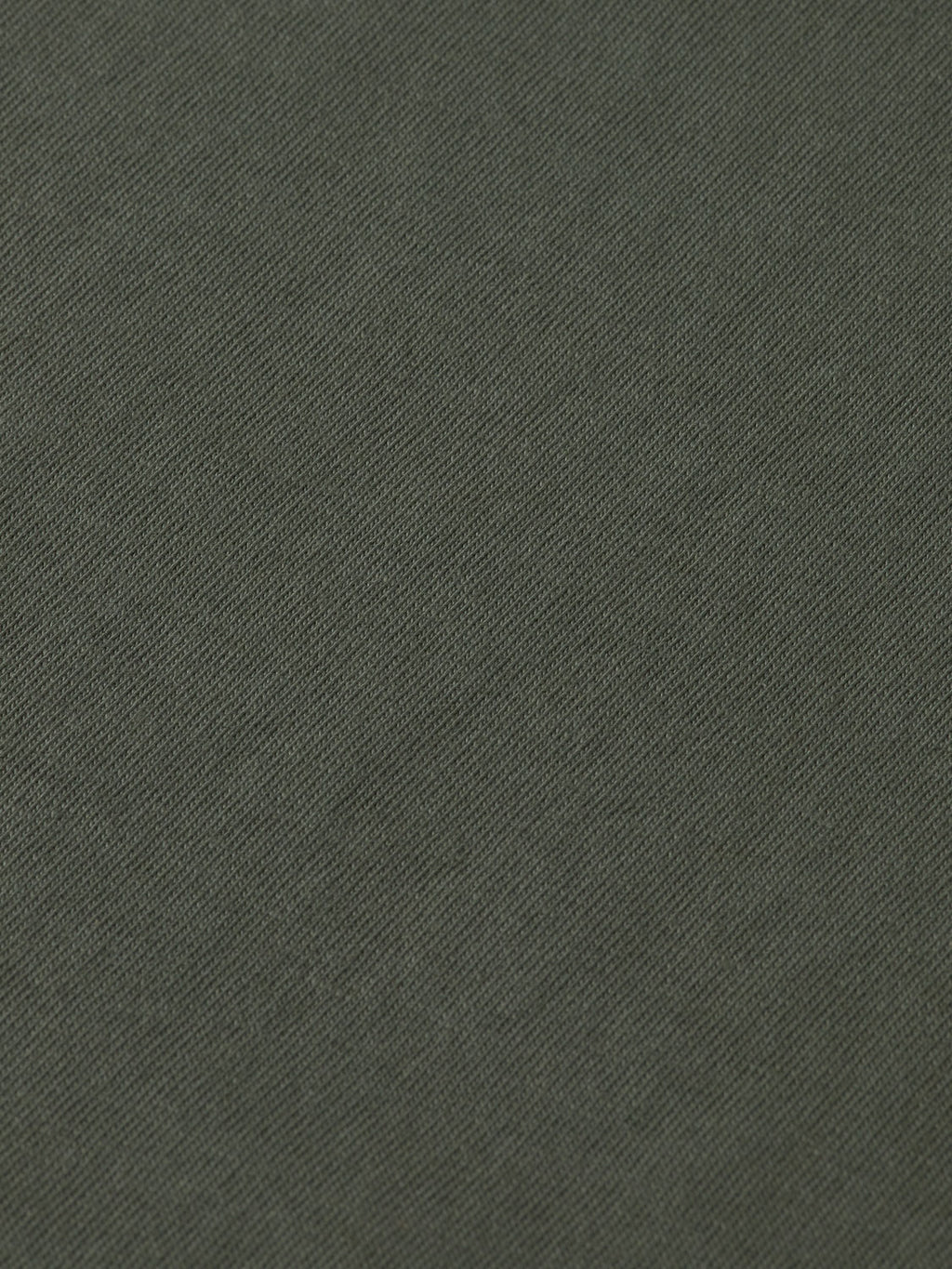 Garment-dyed t-shirt Thyme - Collector Store Sydney