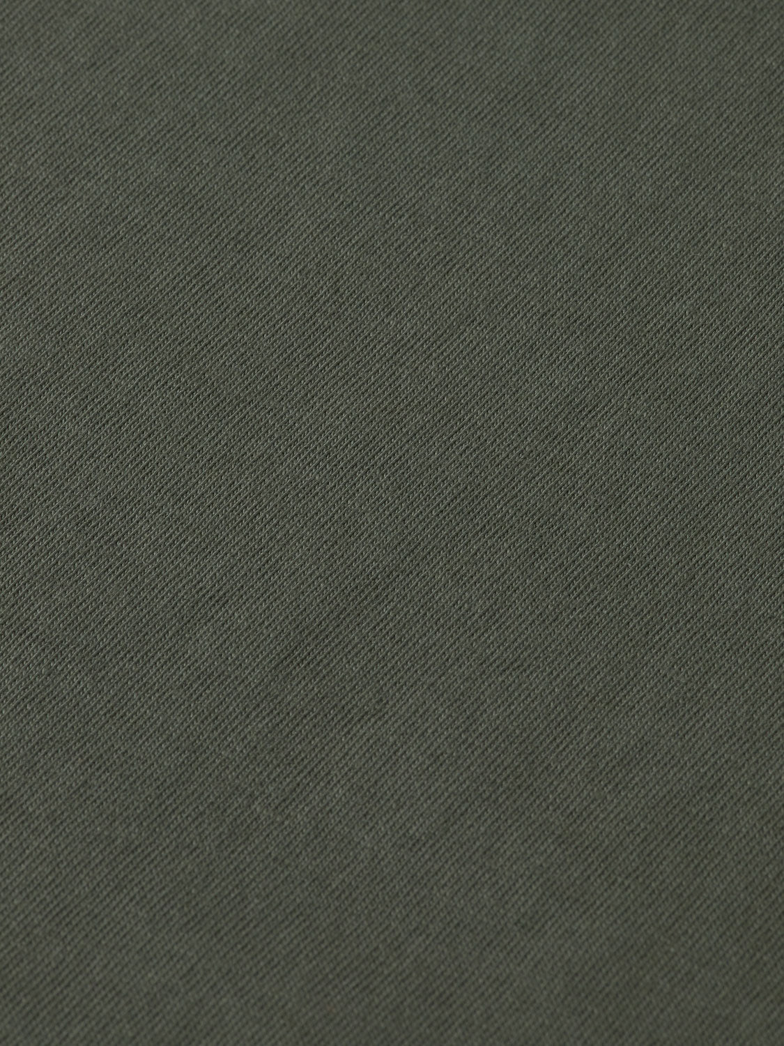Garment-dyed t-shirt Thyme - Collector Store Sydney