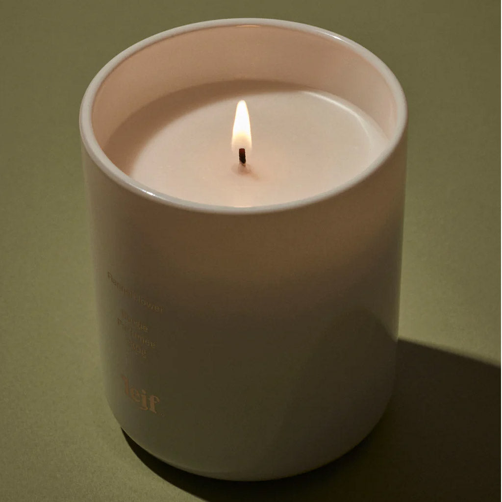 Flannel Flower Candle - 280g - Collector Store