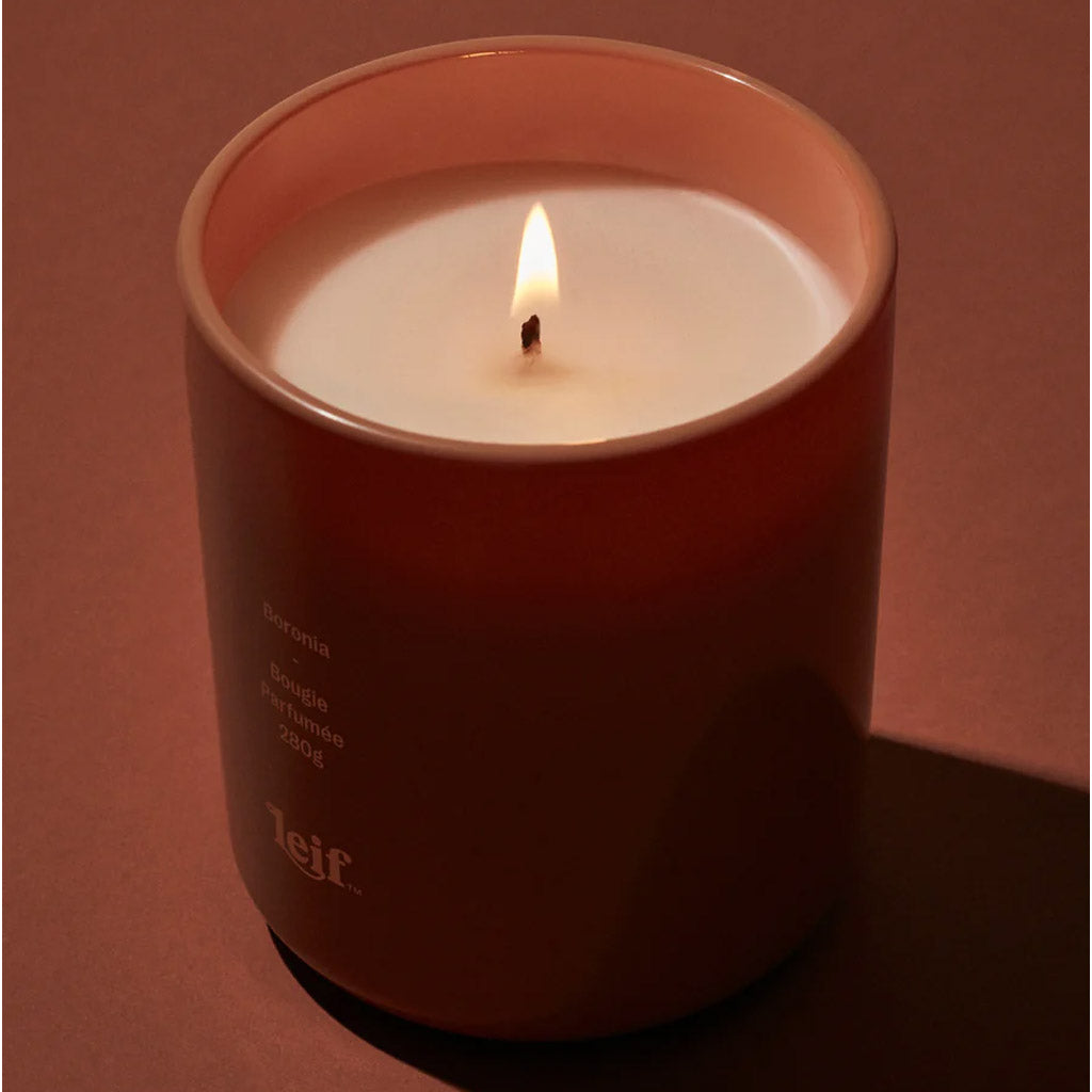 Boronia Candle - 280g - Collector Store