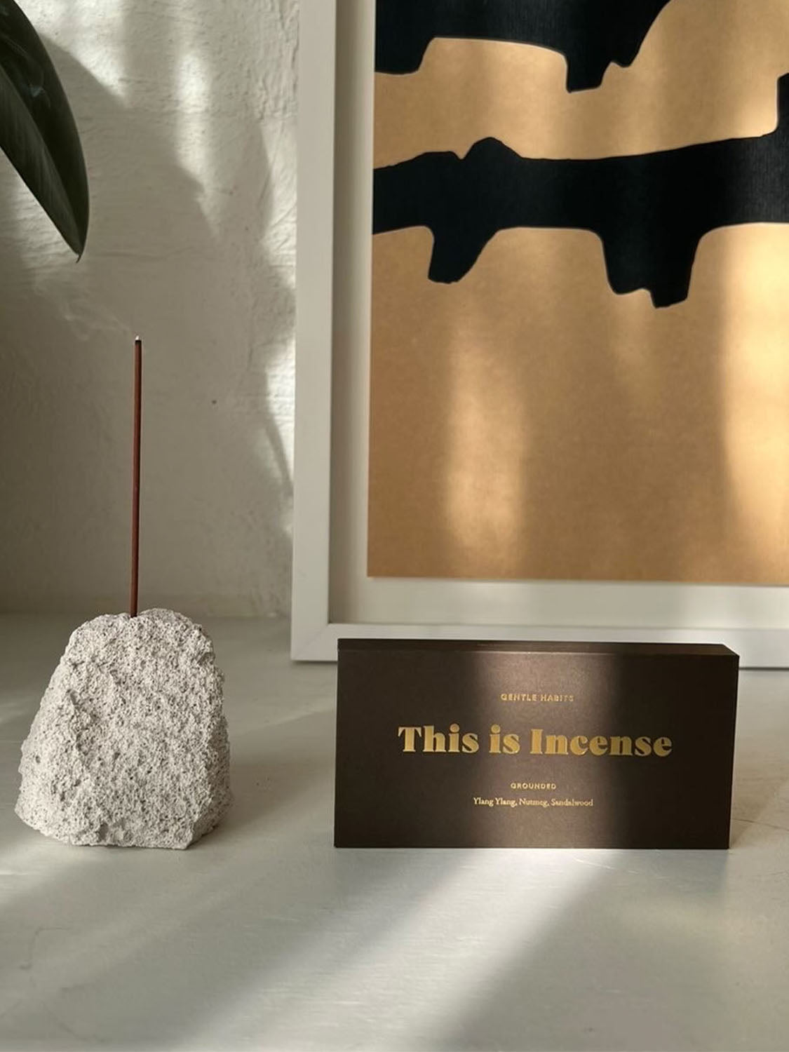This Is Incense - Grounded Scent Sticks - Collector Store Sydney