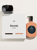 LEIF Boronia Wood Duo Large - Collector Store Sydney