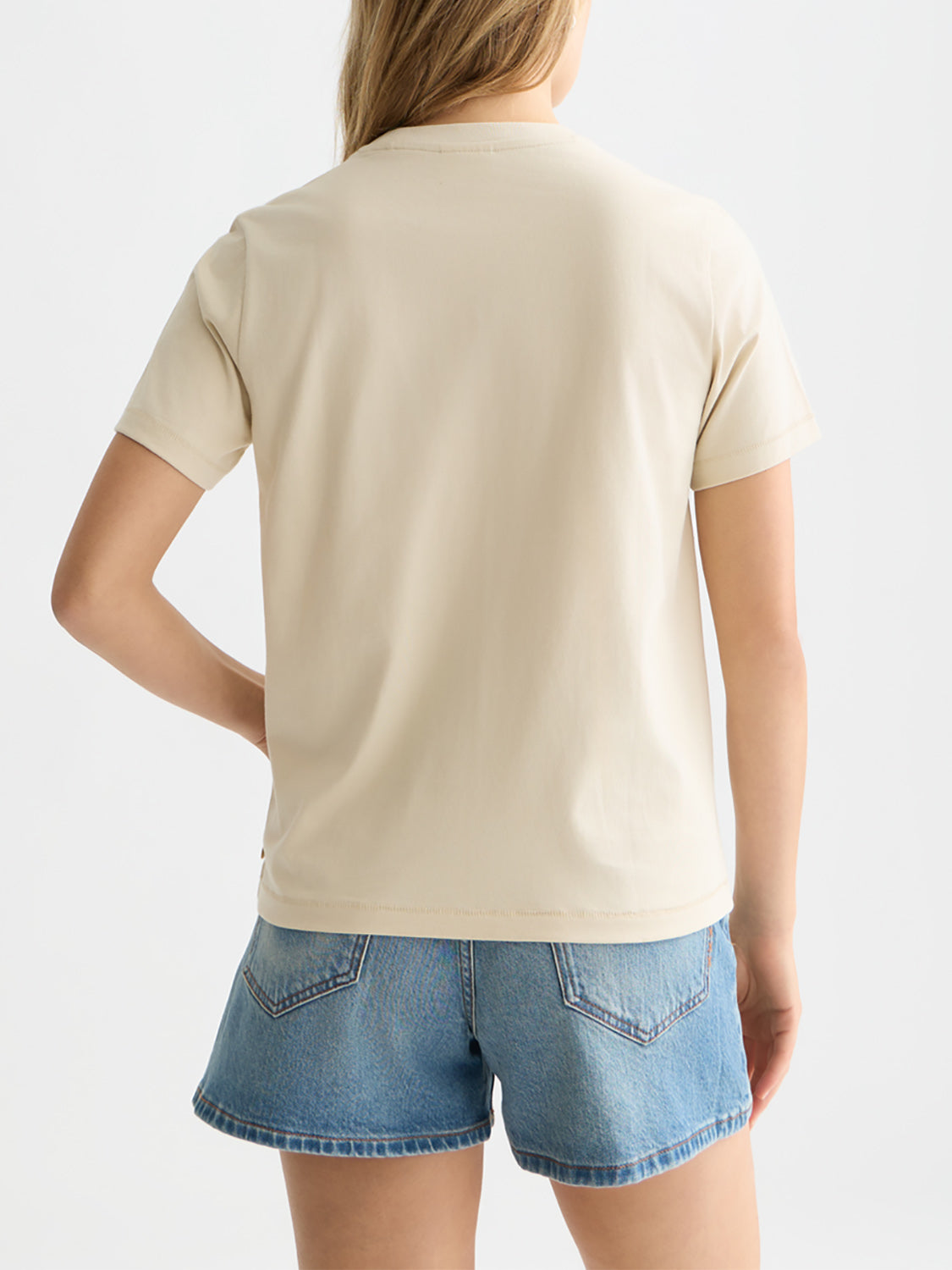 Scotch & Soda : Embroidered artwork t-shirt - Fog - Collector Store Sydney