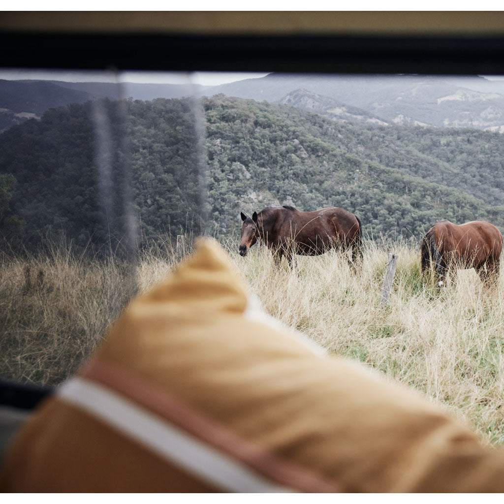 Pony Rider | Wanderfully Cushion | Sunrise | 90 X 48 - Collector Store
