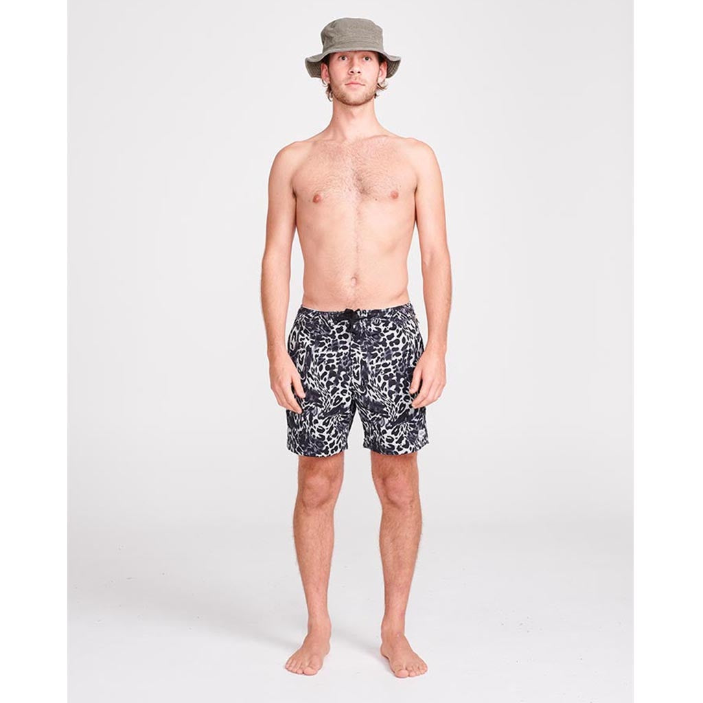 TCSS Snappy Tom Trunk Sand Collector Store