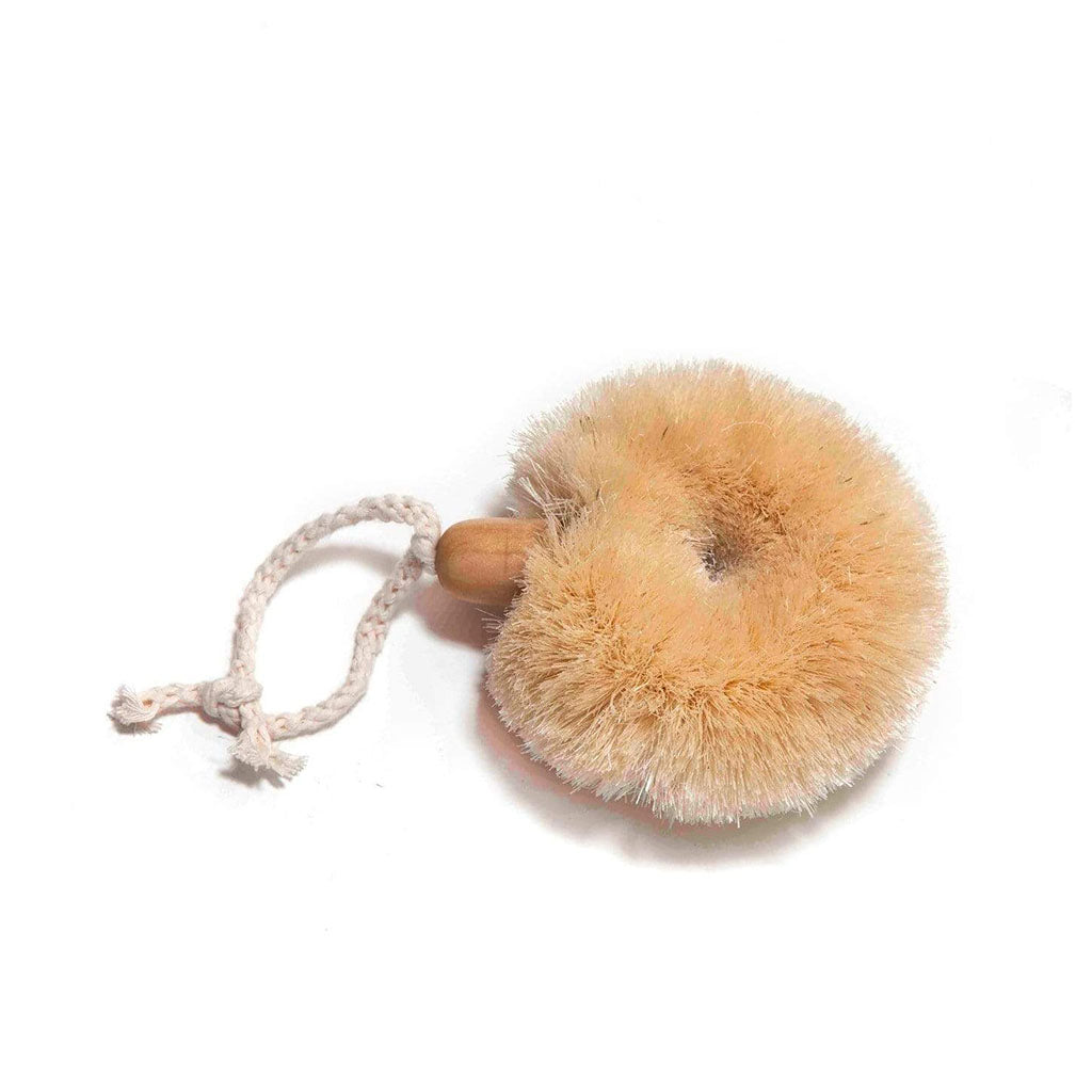 Saison Dry Loofer Brush Round - Collector Store
